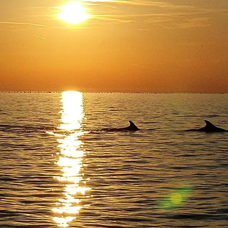 San Lorenzo Portoroz
